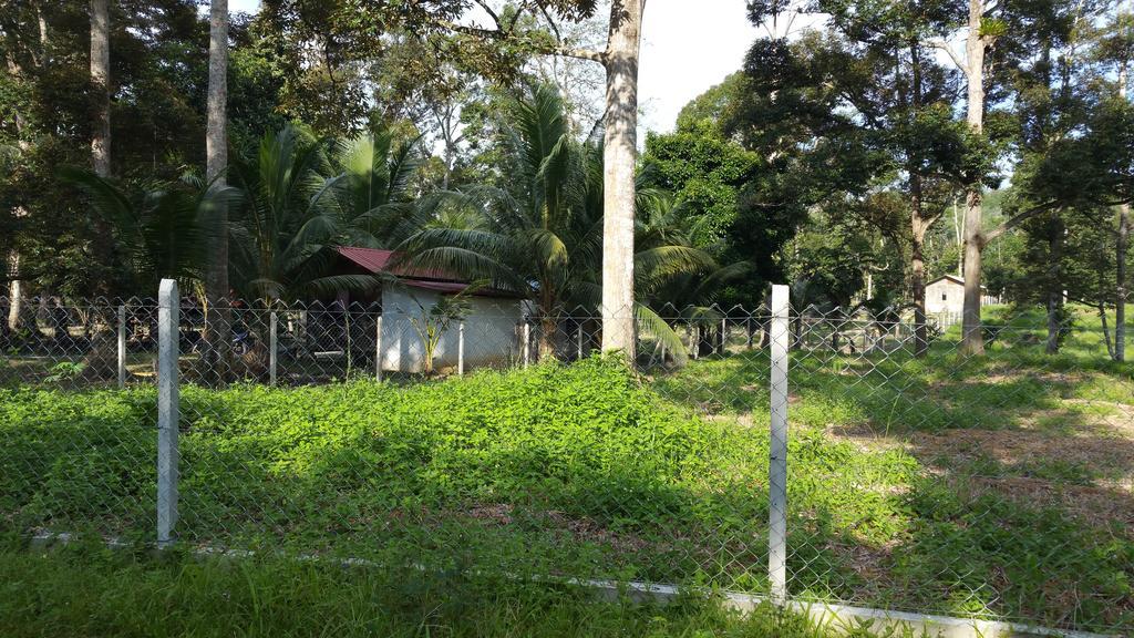 Chalet Kampong Semawar Kuala Kangsar Kültér fotó